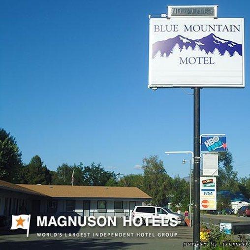 Blue Mountain Motel Okanogan Værelse billede